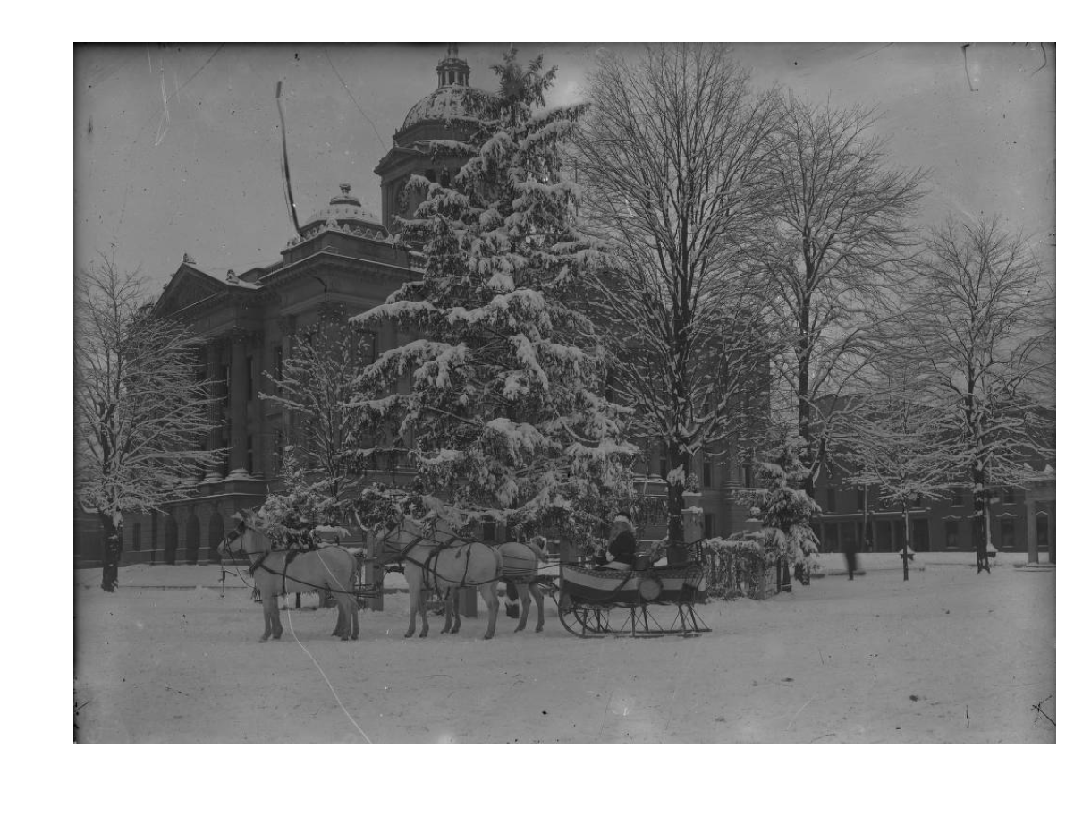 Black and white photo of horse and sleigh with Christmas tree in front of a courthouse building