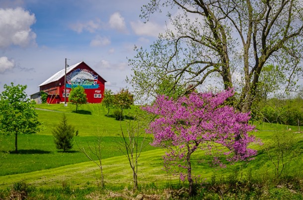 a red barn with a field of green in front and a blue sky